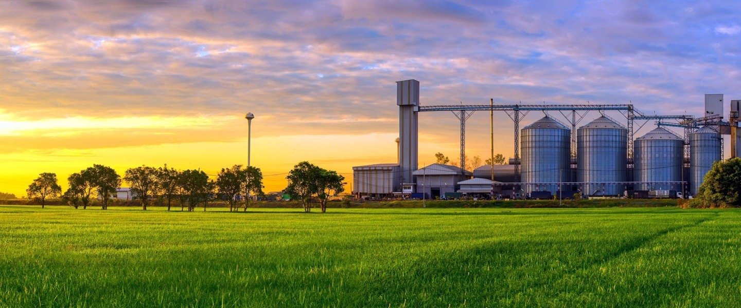 MSpark Rice Mill facility